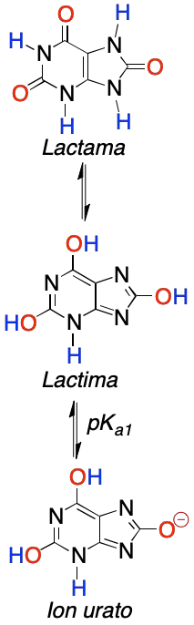 tautomerism uric acid lactam lactam lactide urate ion LEHOTFFKMJEONL-UHFFFAOYAN