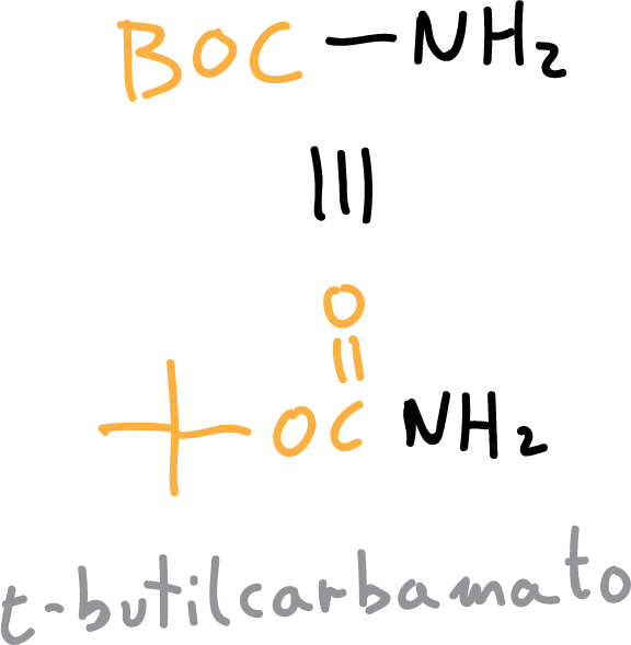 LFKDDJXLFVYVEFG-UHFFFAOYSA-N t-butyl carbamate