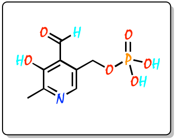 PLP pyridoxal 5-phosphate PLP NGVDGCNFYWLIFO-UHFFFAOYSA-N