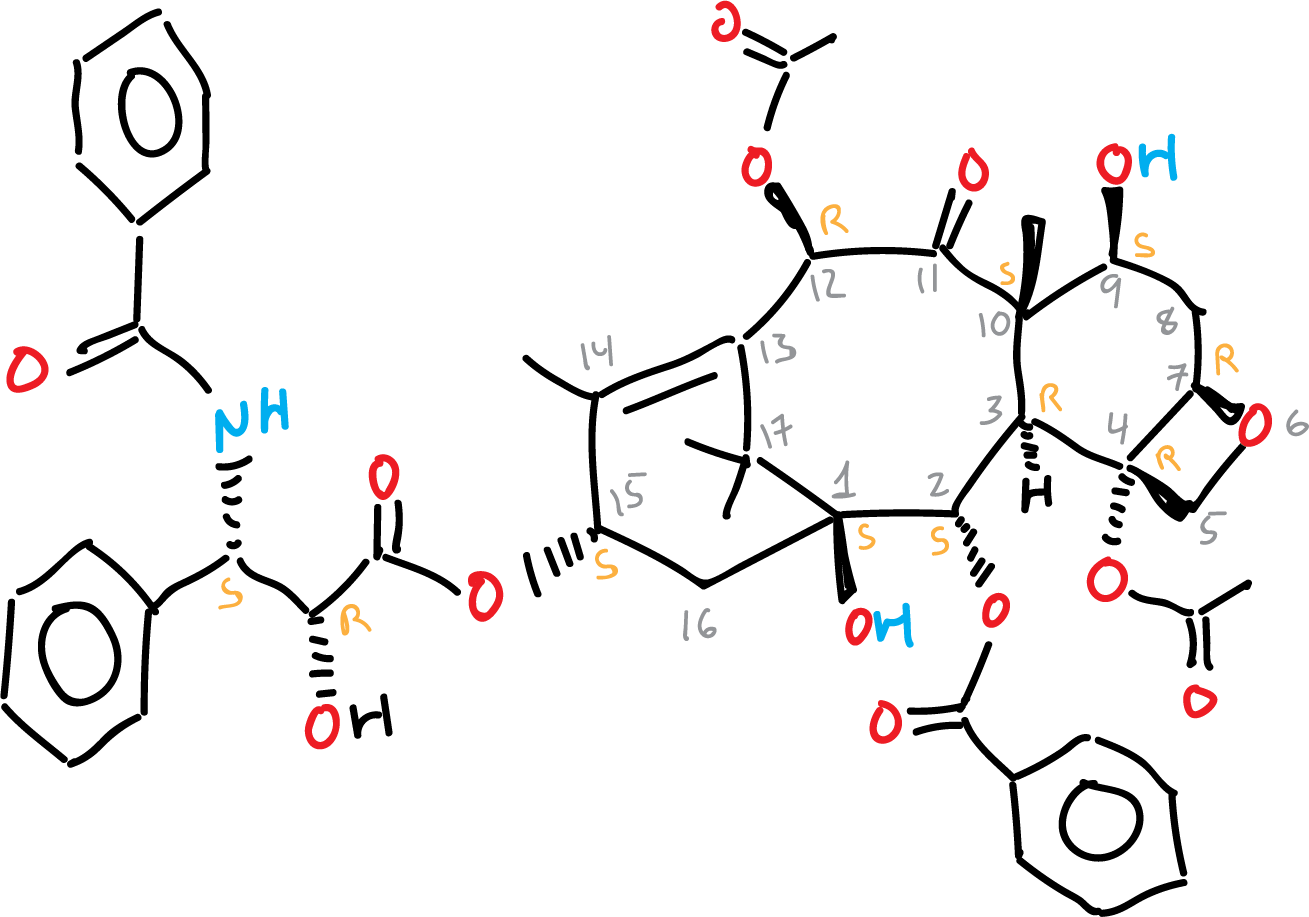 taxol RCINICONZNJXQF-MZXODVADSA-N paclitaxel PTX