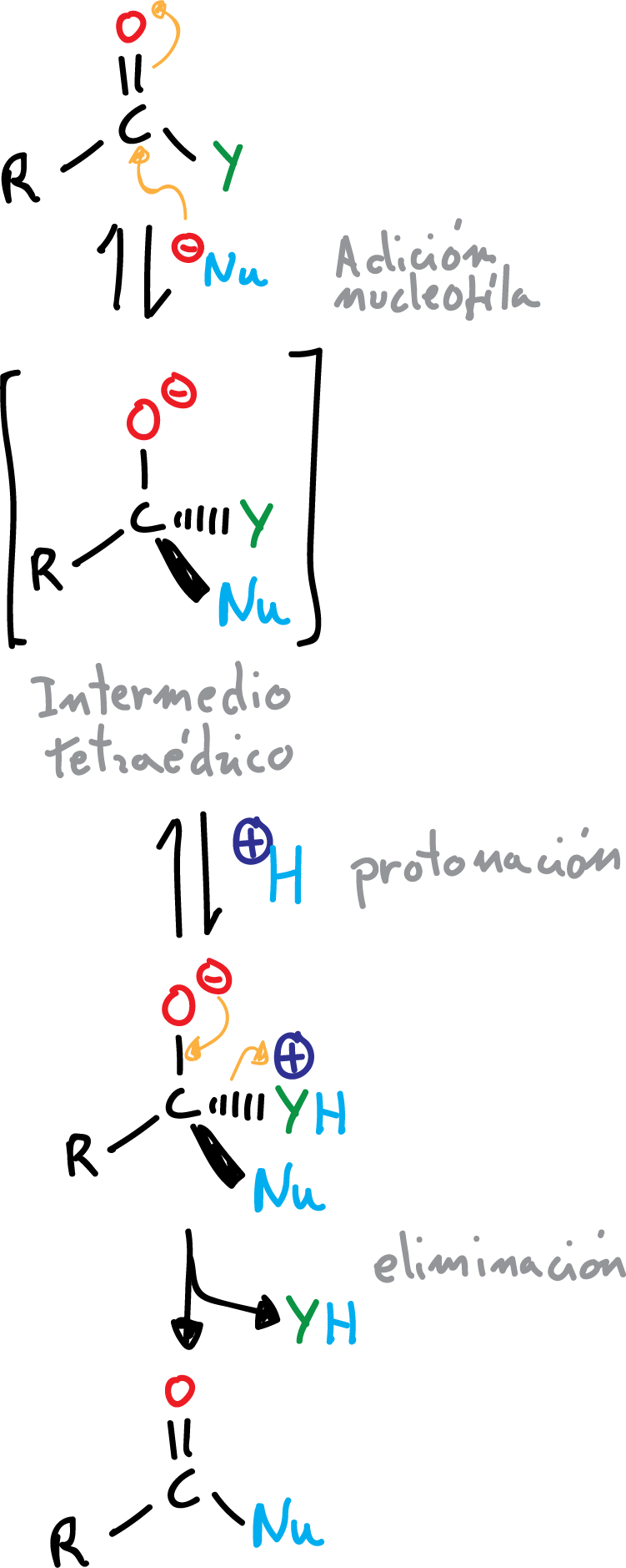 Reactions of Carboxylic Acids and Derivatives: Preparation of derivatives
