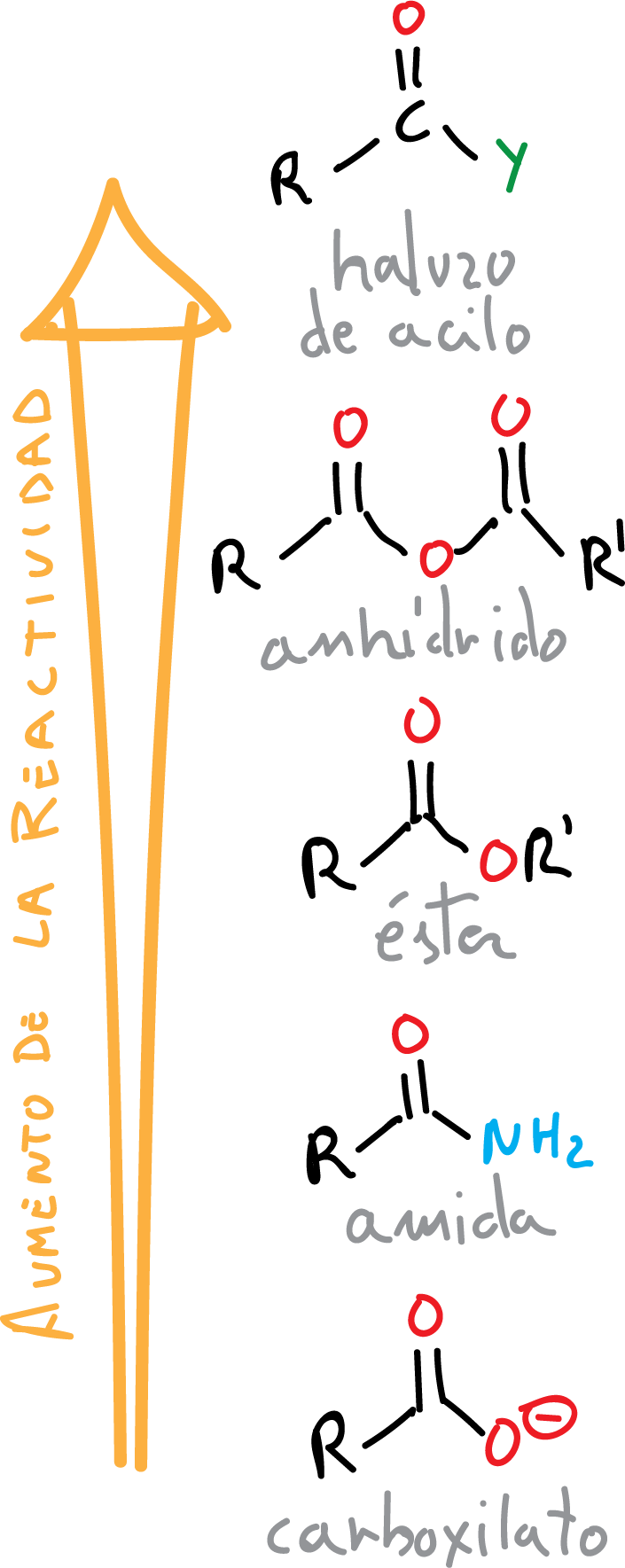 Reactions of Carboxylic Acids and Derivatives: reactivity order of carboxylic acids