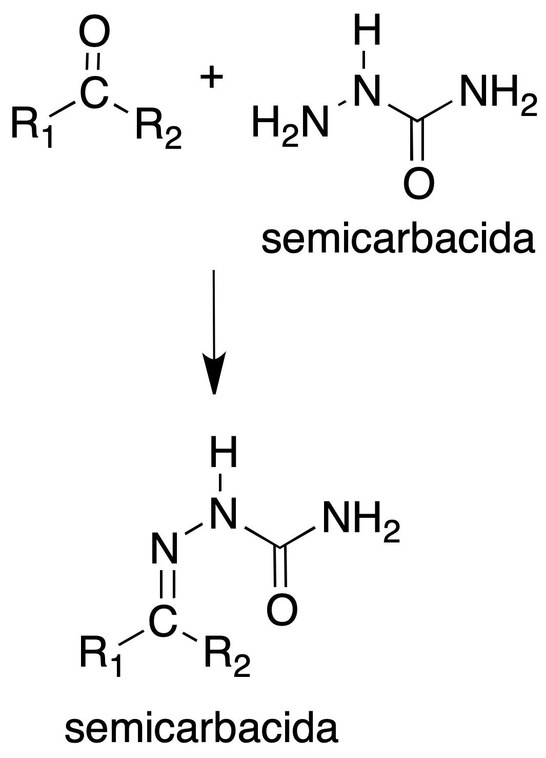 semicarbazones analysis aldehydes ketones.