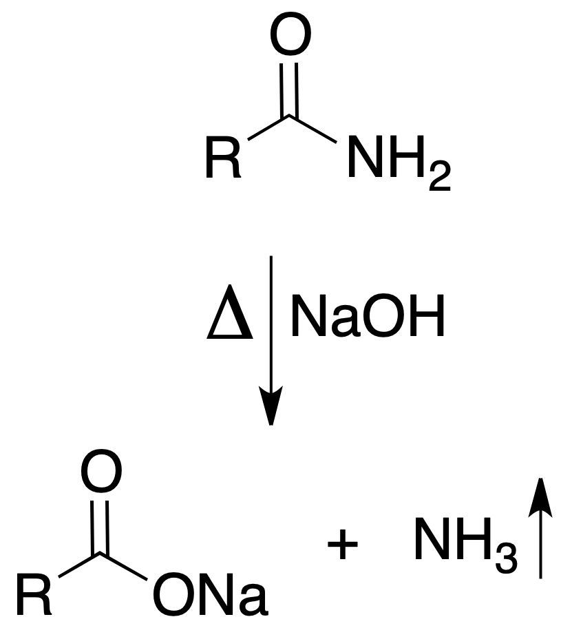 Sodium hydroxide test for primary amides