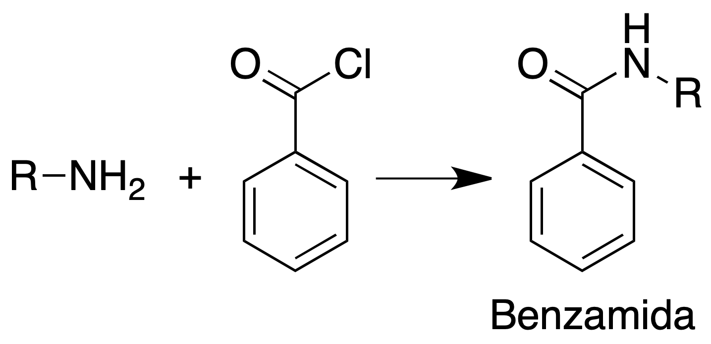 amines analysis benzamide formation