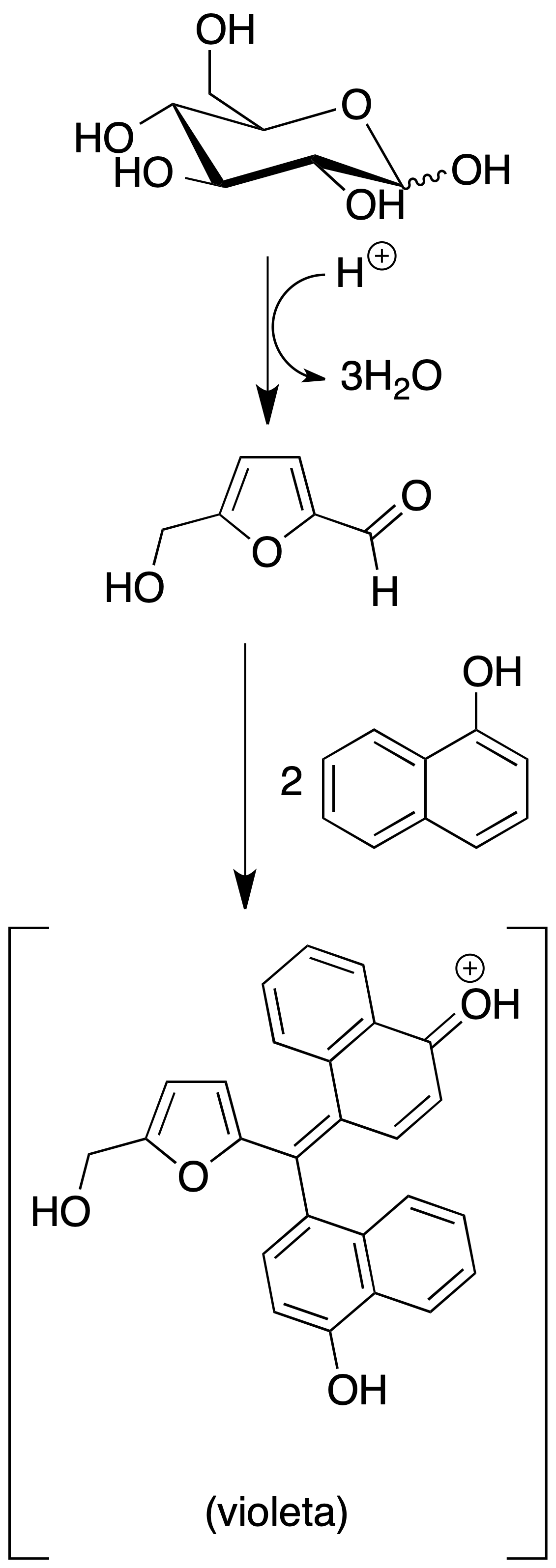 Molisch's test pentoses hexoses