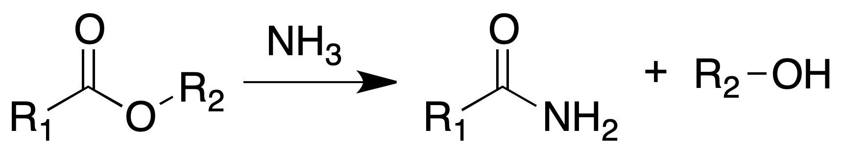  conversion esters amides concentrated ammonia