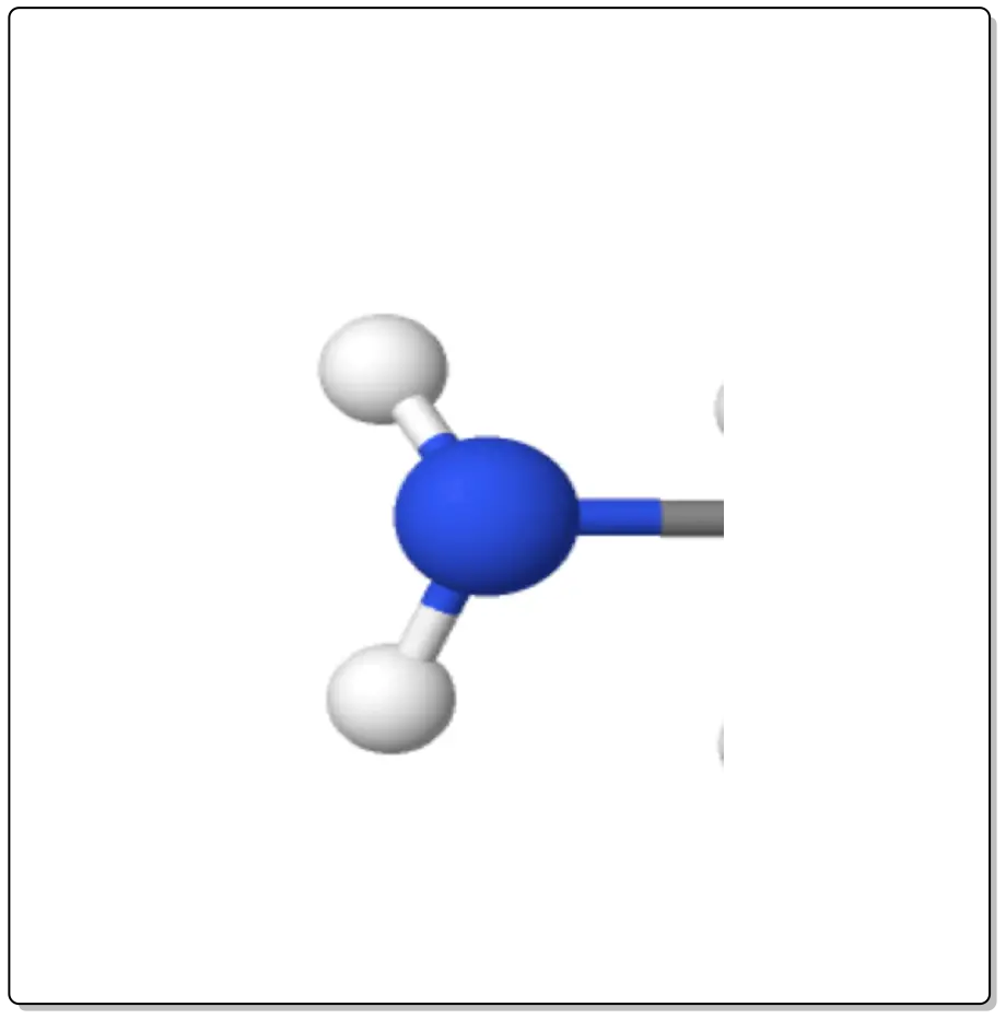 amine functional group