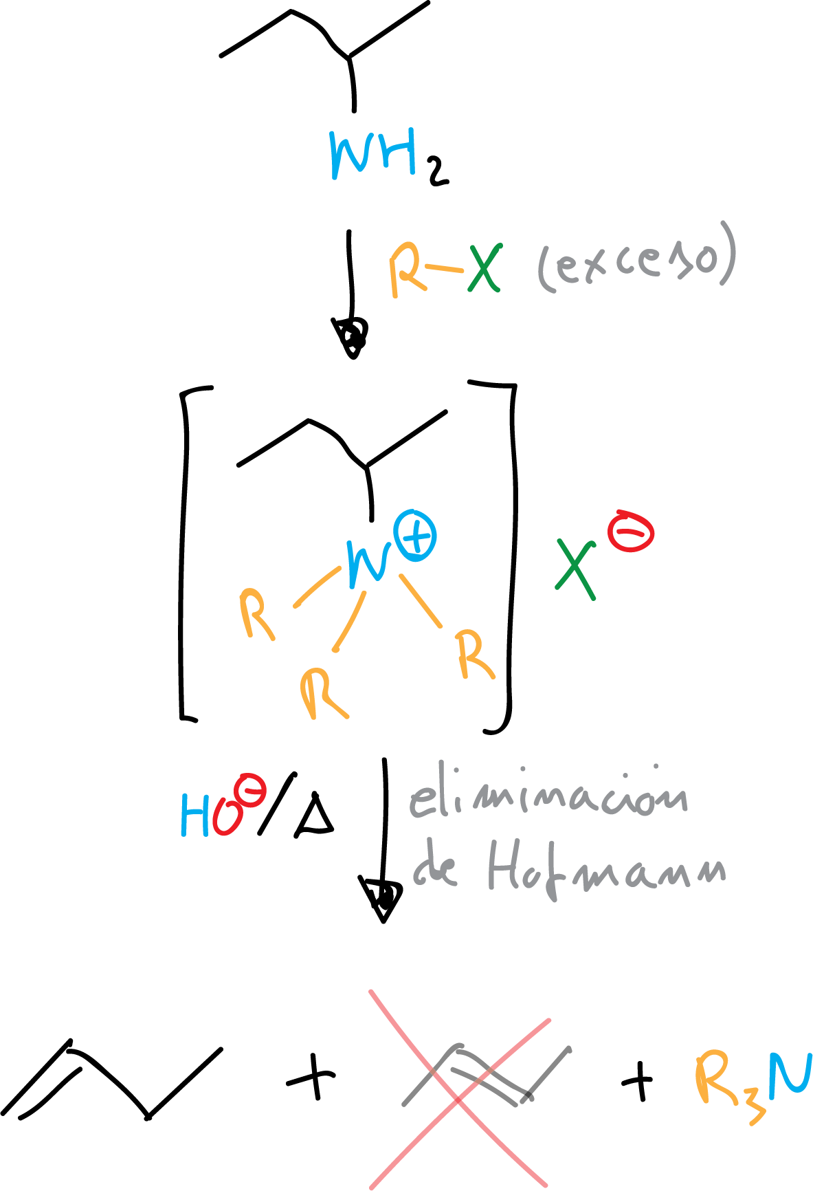 Reactions of Aliphatic Amines: Hofmann elimination