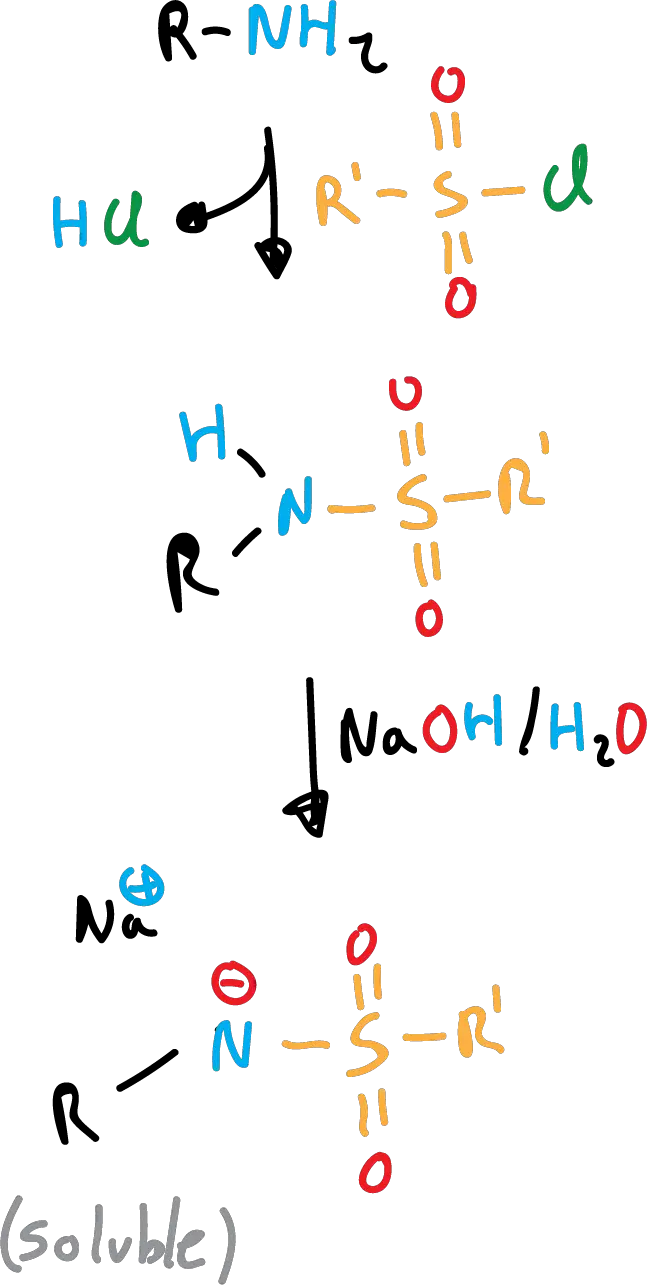 Reactions of Aliphatic Amines: Conversion to primary sulfonamides