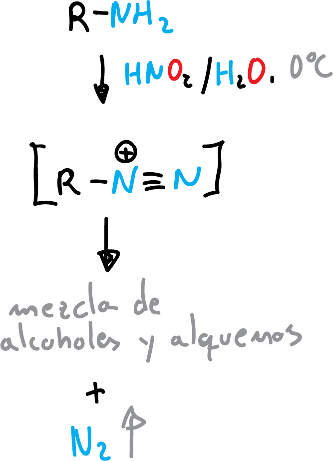 Reactions of Aliphatic Amines: Reactions with nitrous acid