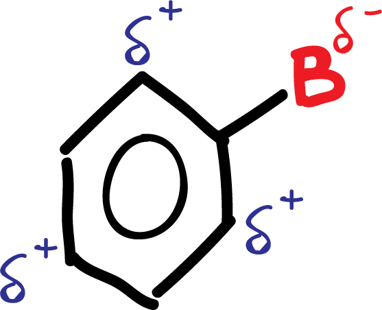 Aromatic Substitution Reactions in Benzene and Derivatives: charge distribution activating groups ortho and para