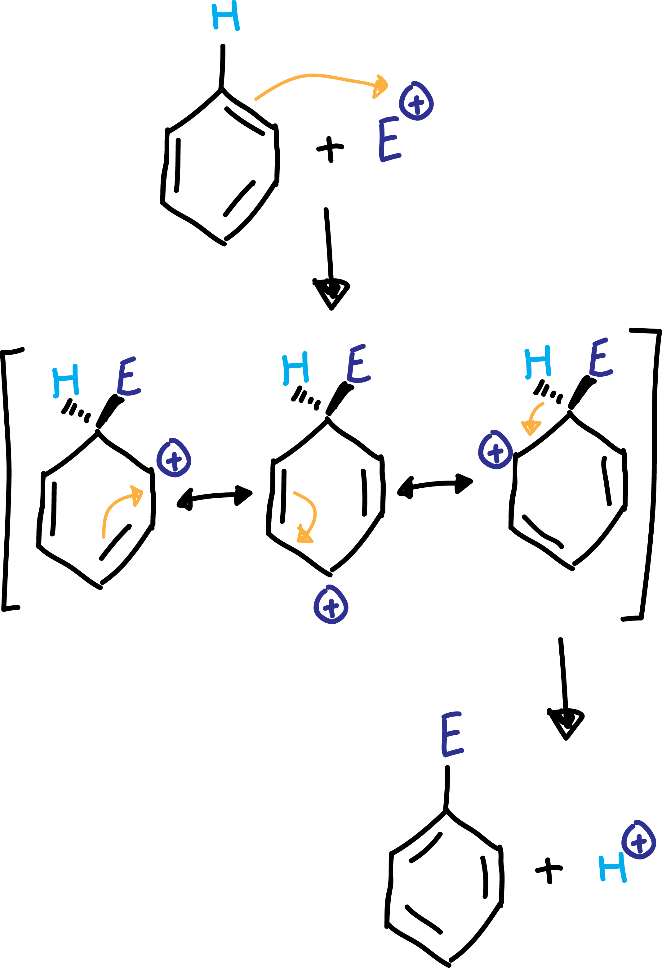 reaction mechanism electrophilic aromatic substitution (SEAr) benzene Wheland intermediate