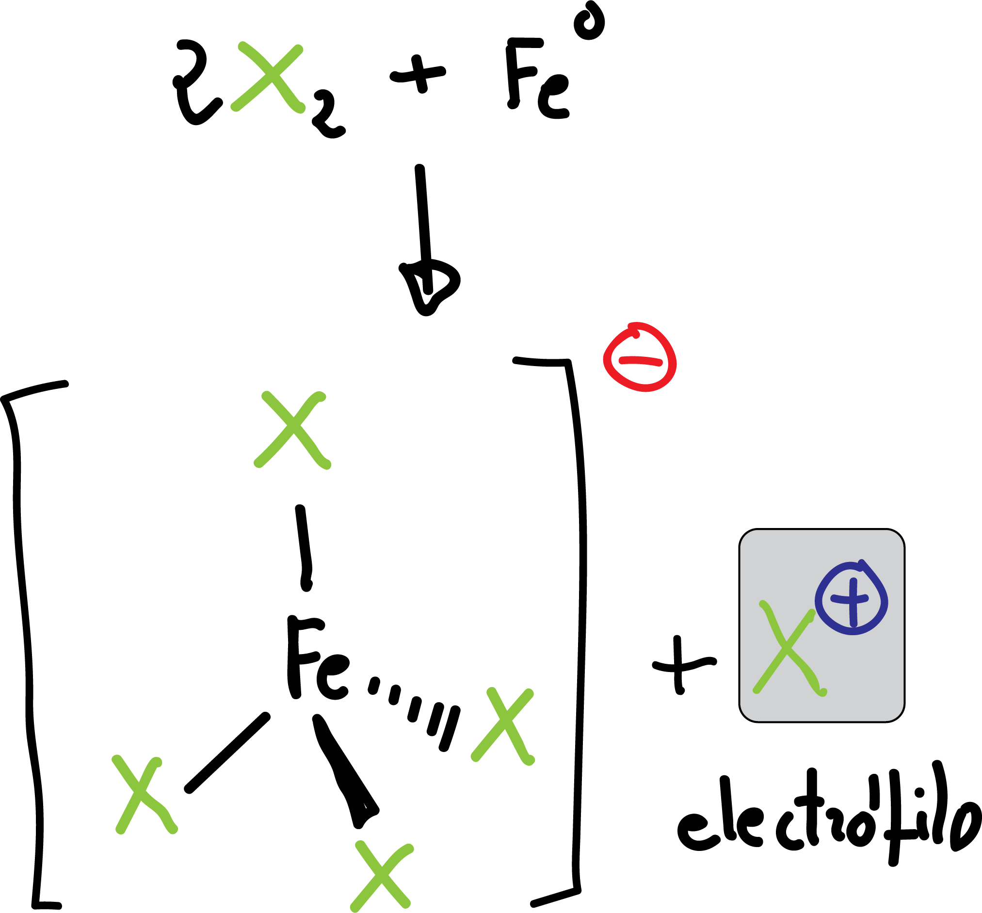 Aromatic Substitution Reactions in Benzene and Derivatives: Halogenation