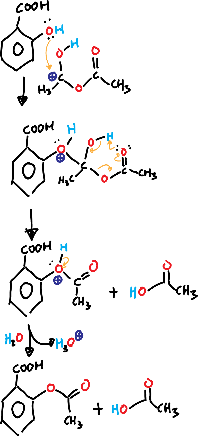 Synthesis of aspirin BSYNRYMUTXBXSQ-UHFFFAOYSA-N mechanism of reaction acetylsalicylic acid