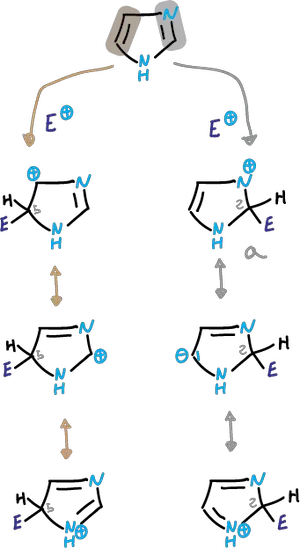 Reactions at the carbons of the imidazole ring: Bromination