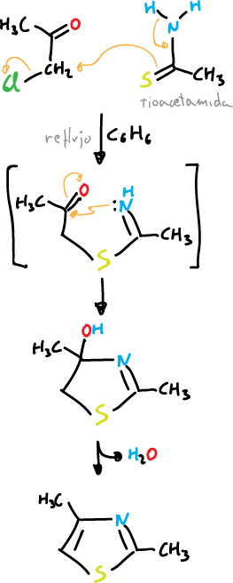 Paal-Knorr synthesis thiazole