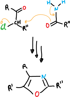 Paal-Knorr synthesis thiazole