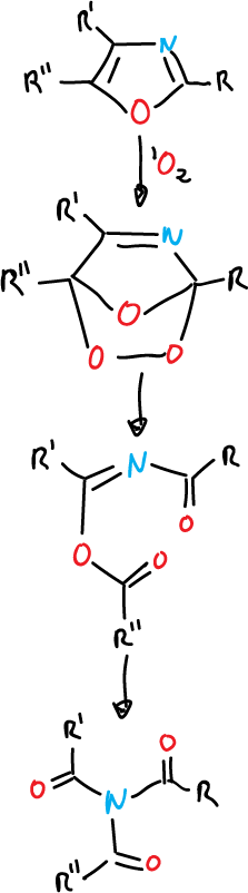 oxazoles thiazoles