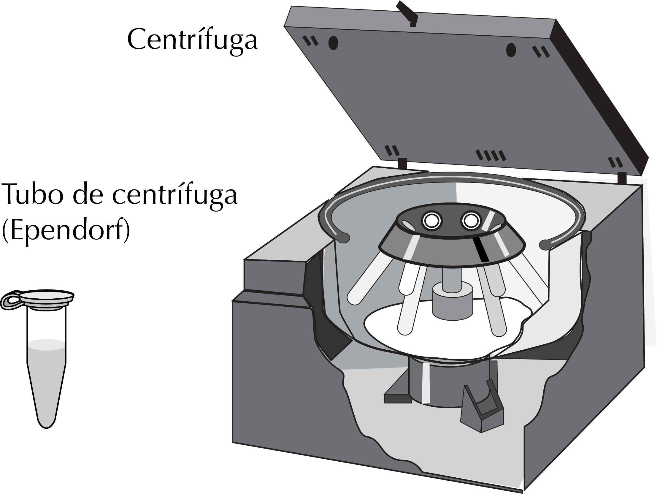 centrifugation centrifuge Eppendorf tube