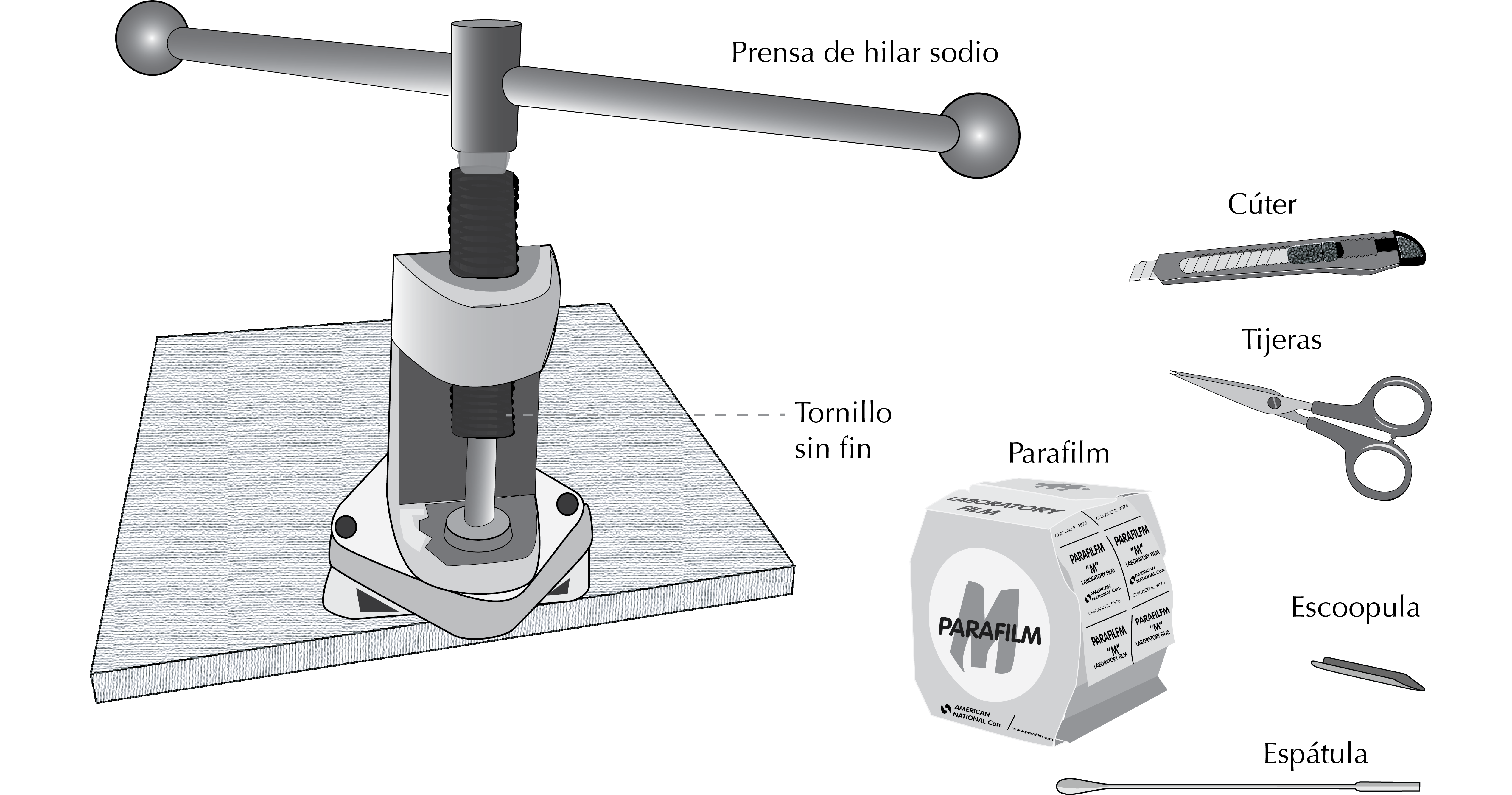 spatula - scissors - parafilm - sodium wire press