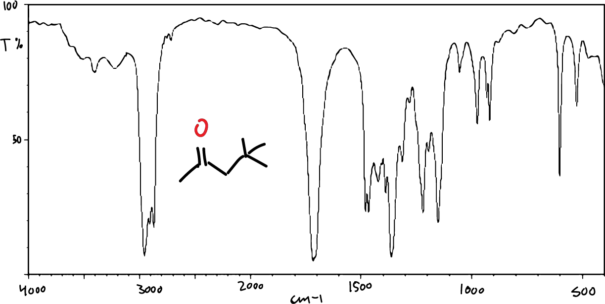 IR infrared spectrum of 4,4-dimethyl-2-pentanone AZASWMGVGQEVCS-UHFFFAOYSA-N