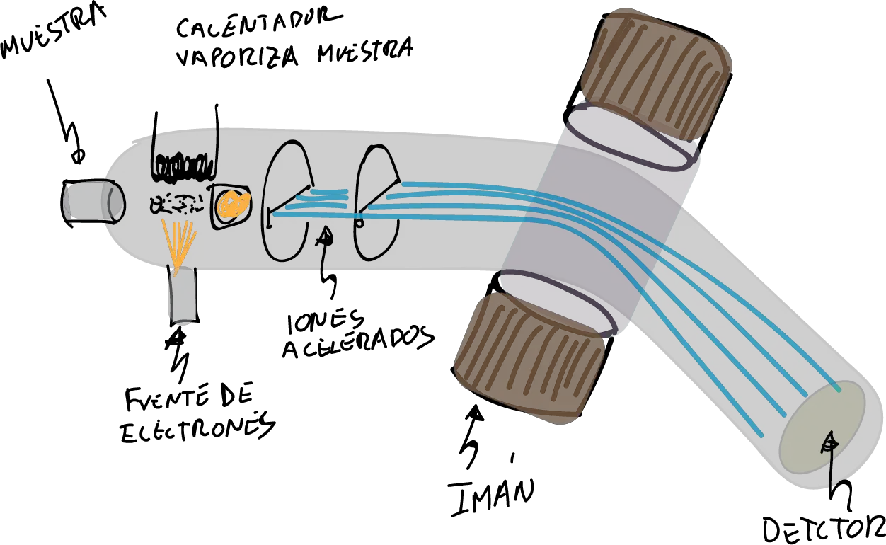 mass spectrometry (MS)