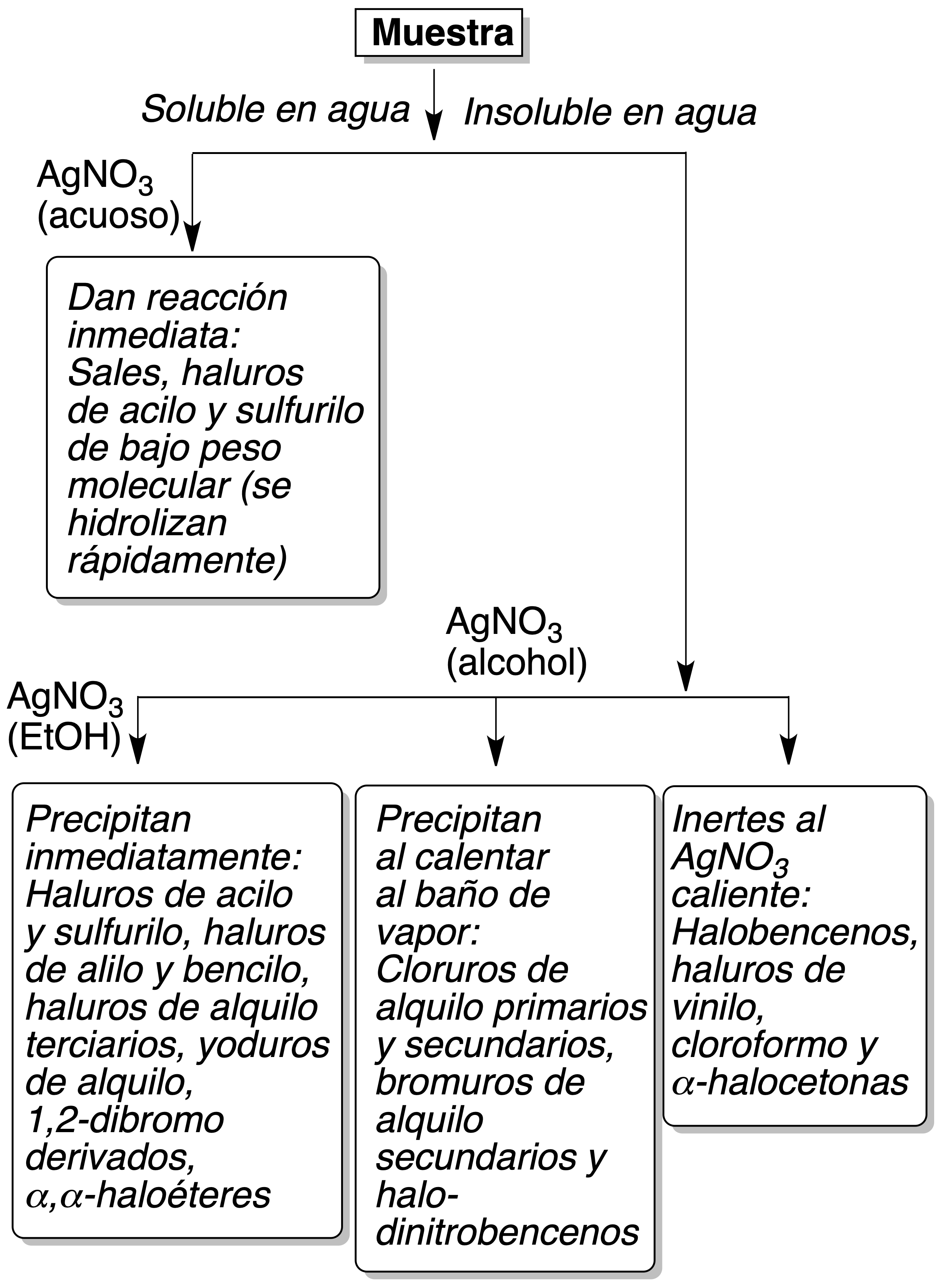 halogenated products classification alcoholic silver nitrate test