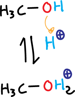 Protonation methanol acidic medium