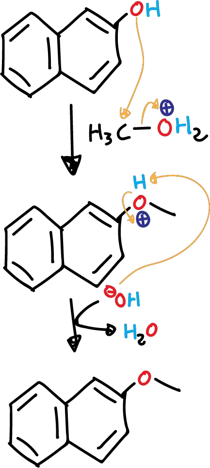 nucleophilic substitution reaction sn2 b-naphthol methanol b-naphthylmethyl ether