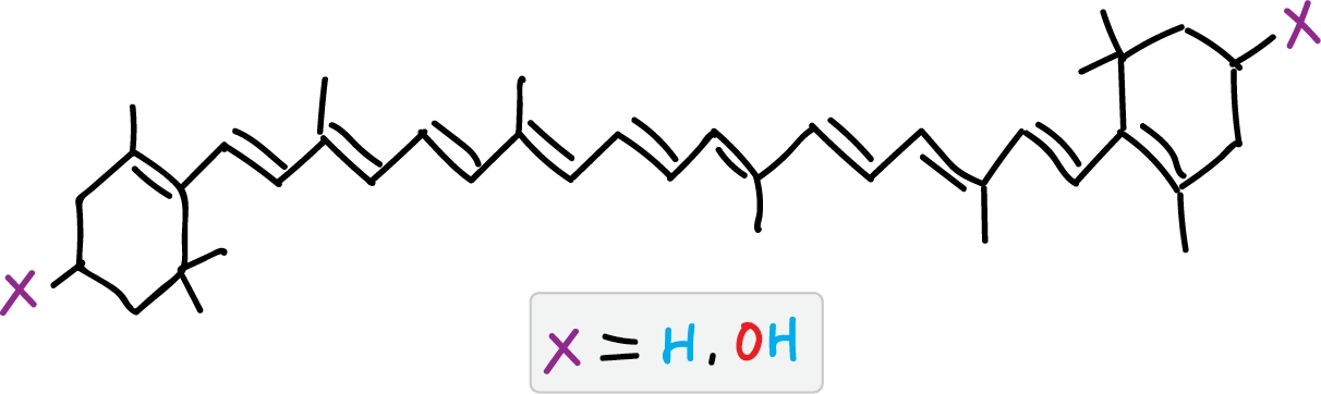 β-carotene xanthophyll structure