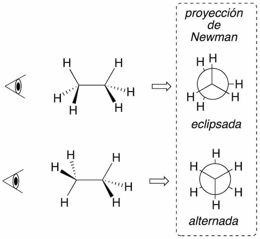 structure and representation of organic molecules ethane alternating eclipsed eclipsed Newman projection