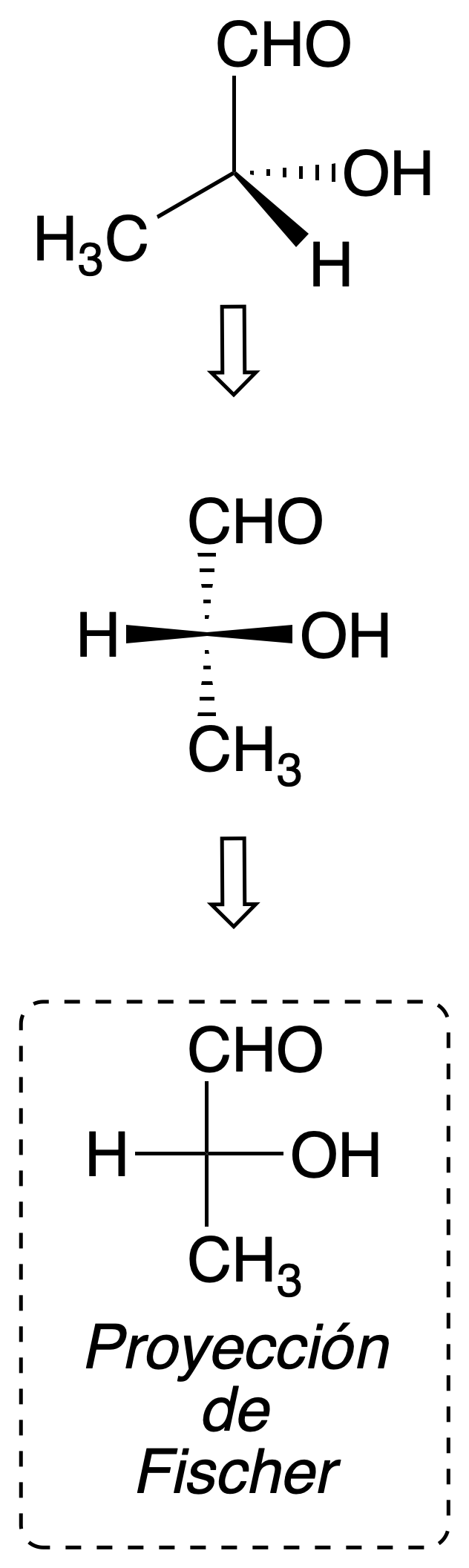 structure and representation of organic molecules Fischer projection