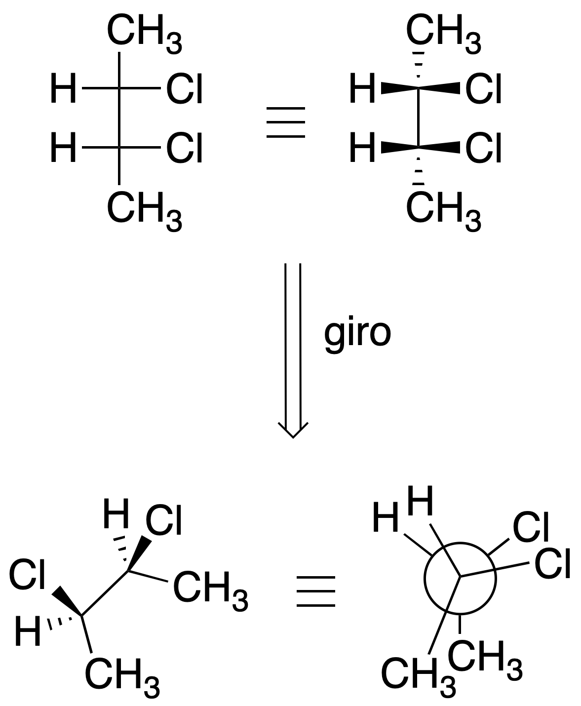 structure and representation of organic molecules Fischer's projection turn