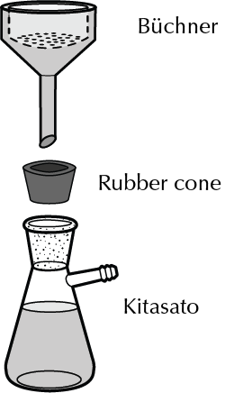 vacuum filtration equipment - kitasato - büchner - rubber cone - filter paper