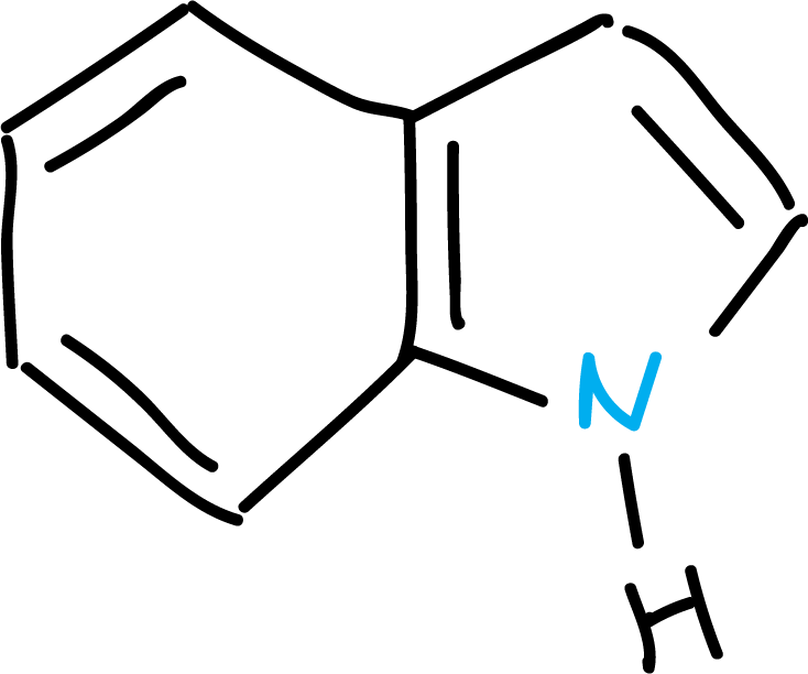 heterocycle Indole