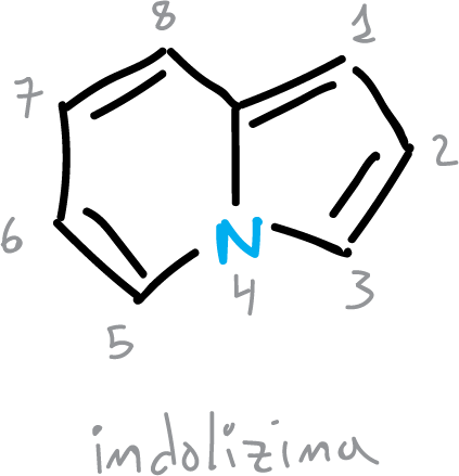 aromatic heterocycles: indolizine atom numbering