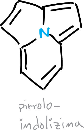 aromatic heterocycles: pyrroloindolizine