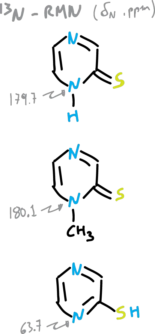 aromatic heterocycles: pyrazine-2-thione; chemical shifts of nitrogens in 15N-RMN