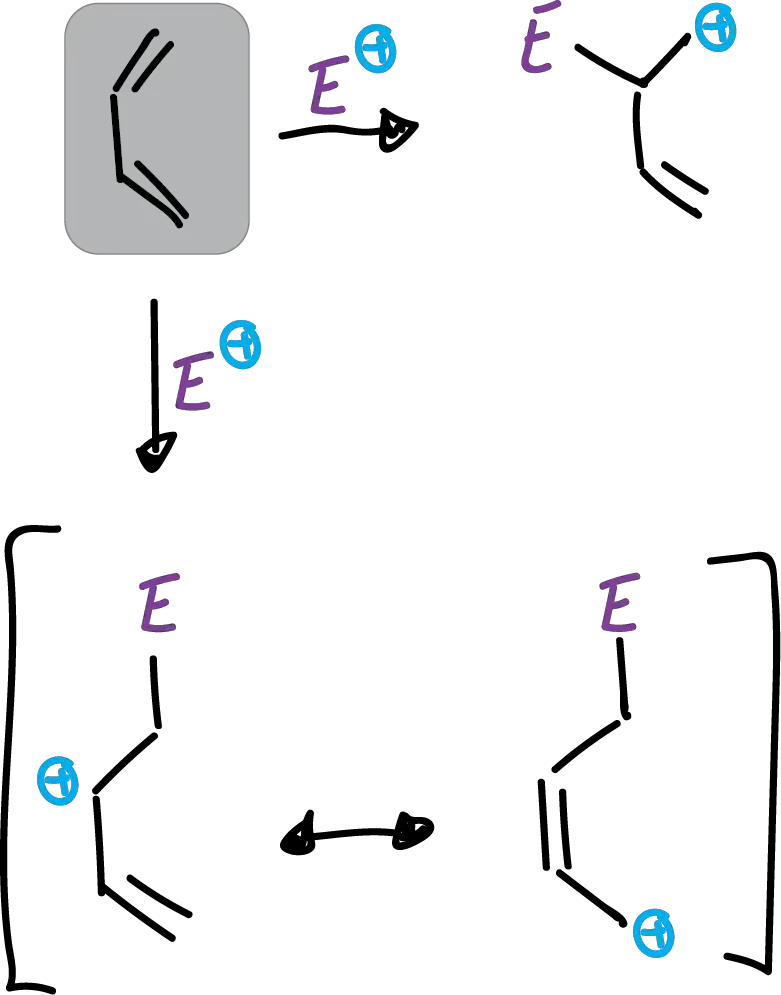 butadiene electrophilic reaction