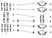 electrocyclic reaction