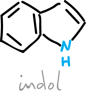 indole SIKJAQJRHWYJAI-UHFFFAOYSA-N