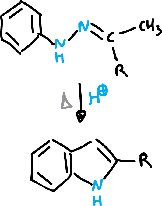 Fischer indole synthesis - general reaction scheme - Fischer indolization - Fischer synthesis of indole SIKJAQJRHWYJAI-UHFFFAOYSA-N