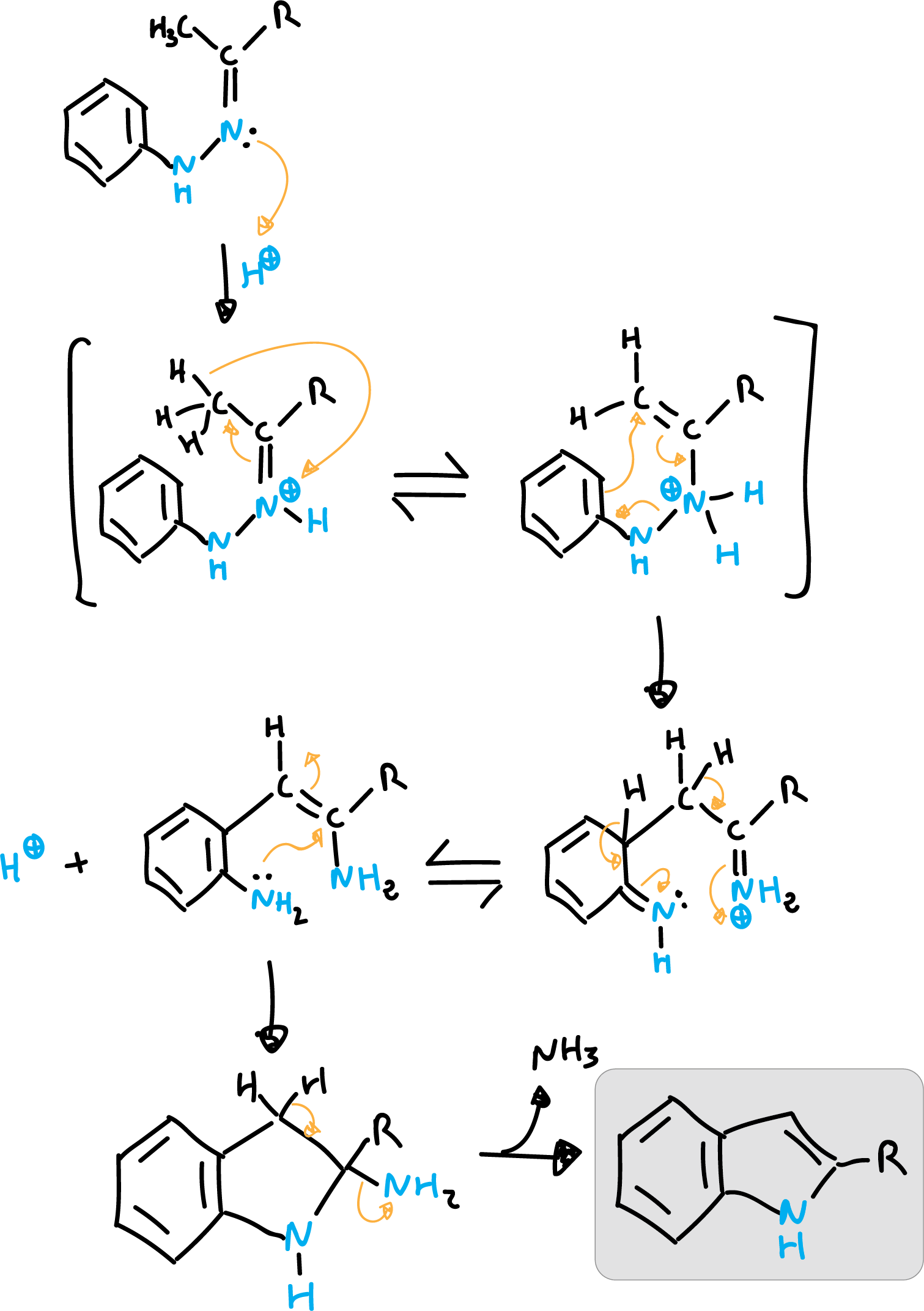 Mechanism of reaction for the Fischer indole synthesis - general reaction scheme - SIKJAQJRHWYJAI-UHFFFAOYSA-N