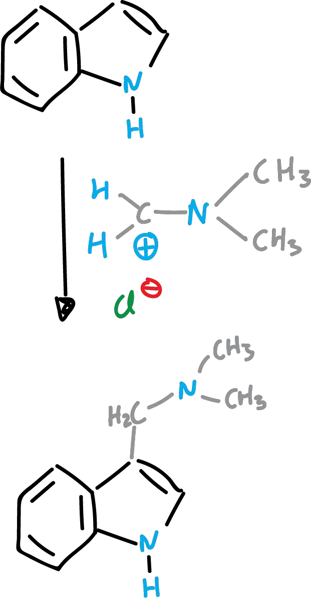 Reactivity of indoles: Mannich reaction SIKJAQJRHWYJAI-UHFFFAOYSA-N