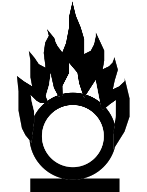 flame on circleghs system pictogram