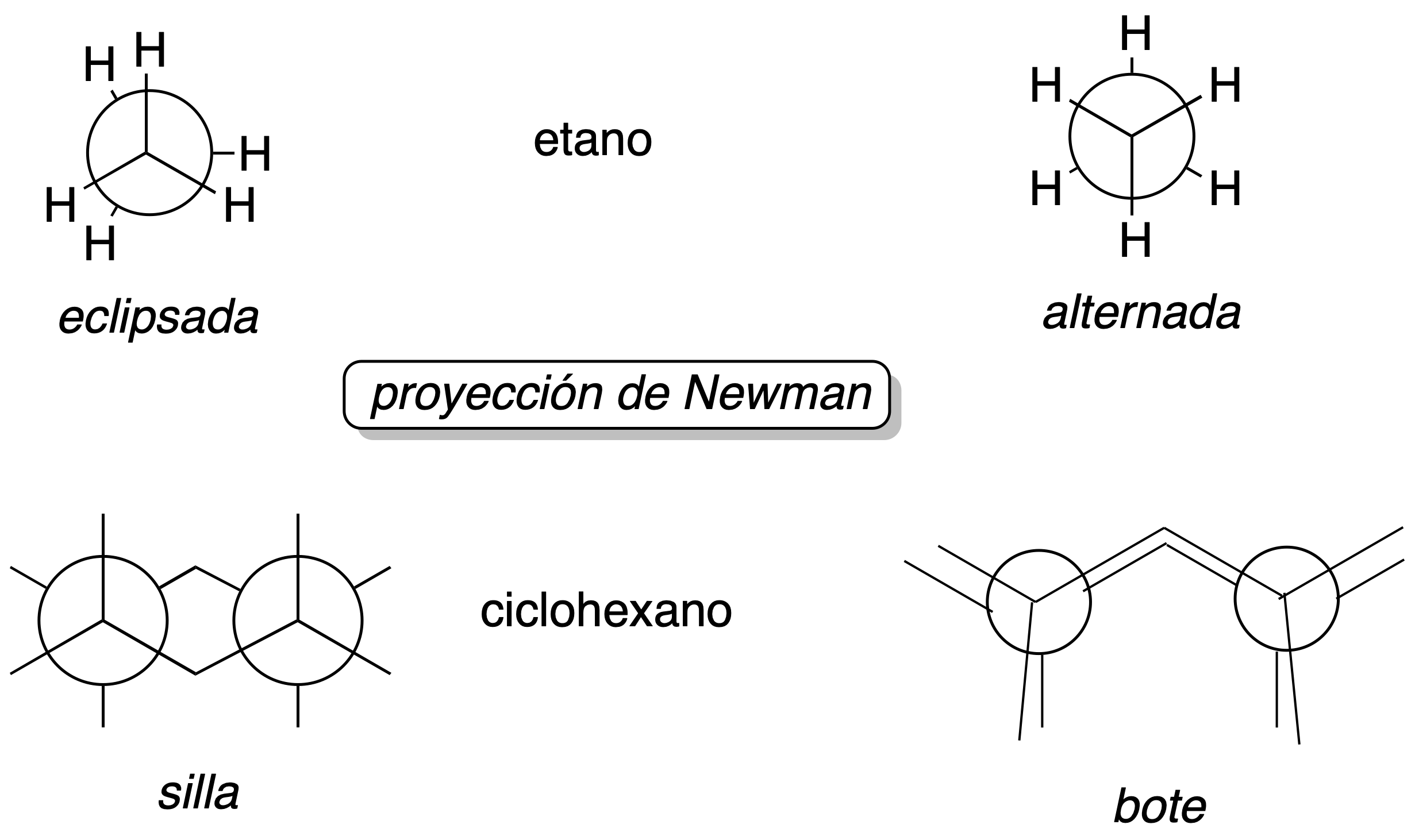 isomerism in organic molecules conformational isomerism newman's projection