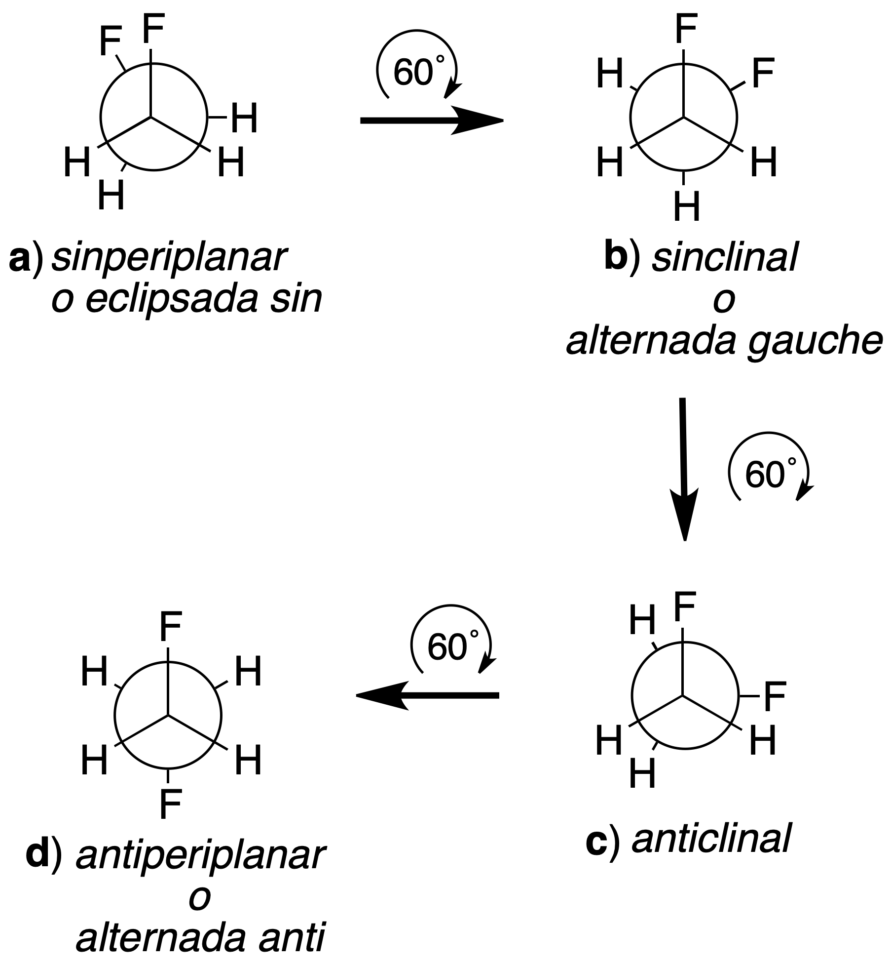 isomerism in organic molecules conformational isomerism newman's projection