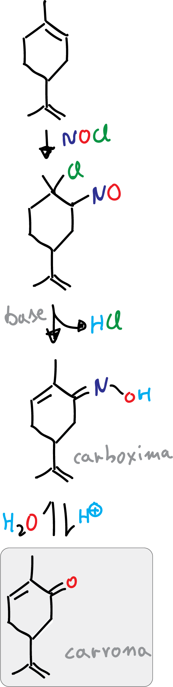 synthesis carvone limonene carboxymime