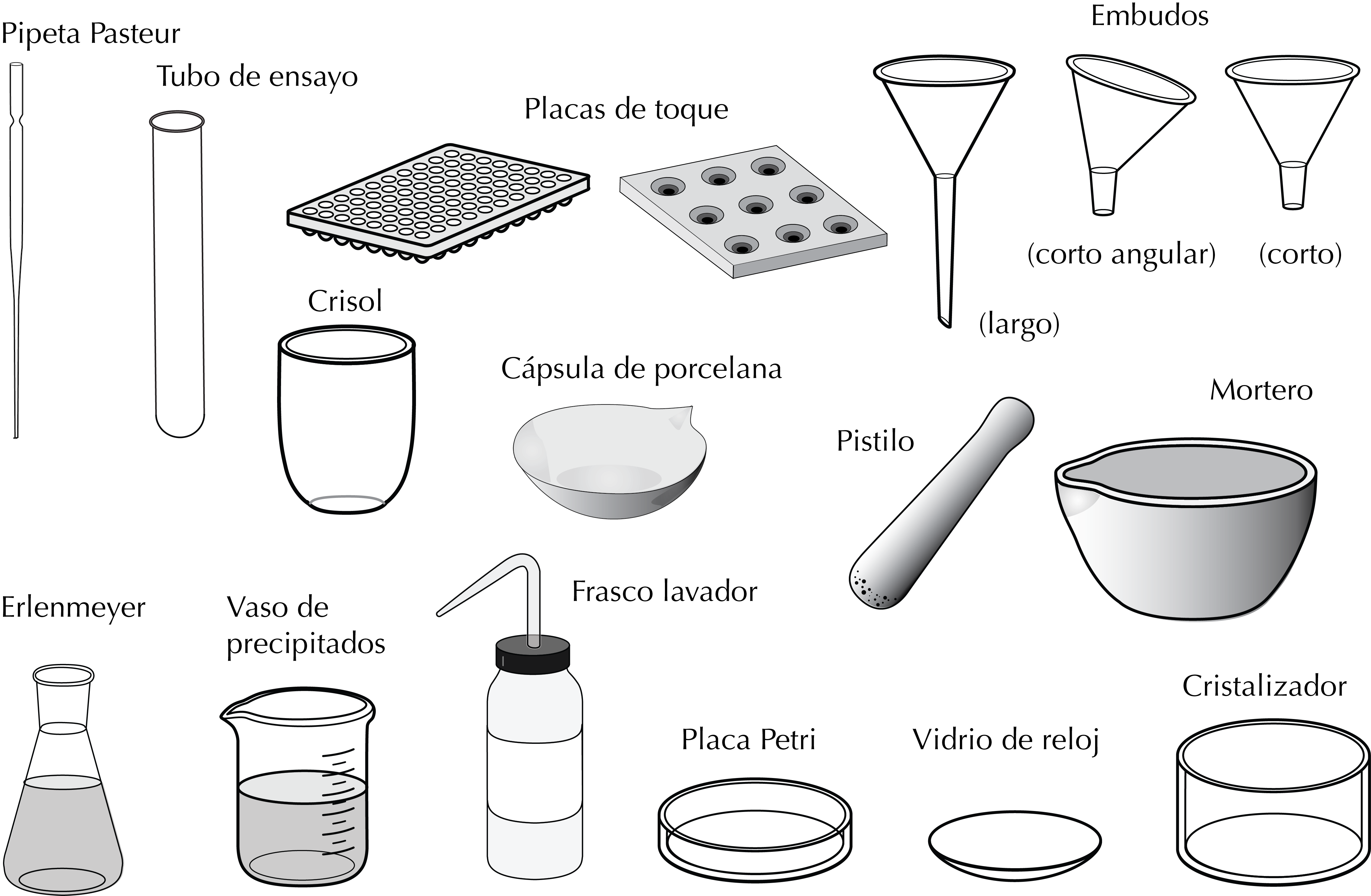 laboratory glassware - Petri dish - porcelain capsules - crystallizing dish - conical funnel - Erlenmeyer flask - Beaker - washing bottle - mortar pestle - touch plate - plugs